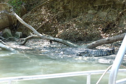 Kakadu Full-Day Tour From Darwin With Lunch - Airlie Beach Holiday 2