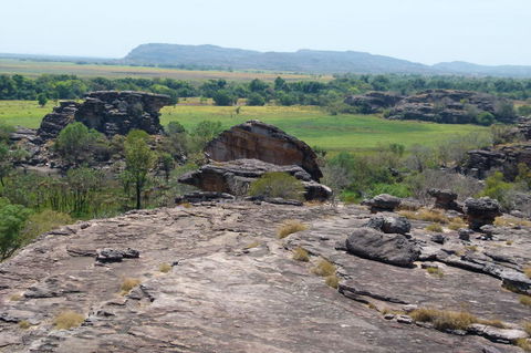 Kakadu Full-Day Tour From Darwin With Lunch - Airlie Beach Holiday 3