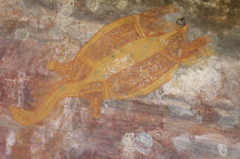 Kakadu Full-Day Tour From Darwin With Lunch - Airlie Beach Holiday 4
