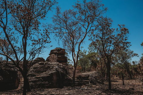 Kakadu Full-Day Tour From Darwin With Lunch - Airlie Beach Holiday 6