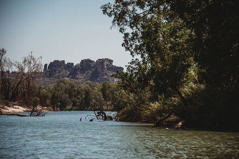 Kakadu Full-Day Tour From Darwin With Lunch - Airlie Beach Holiday 8
