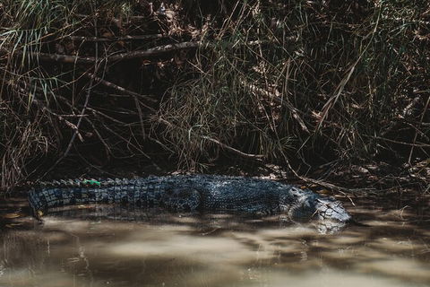Kakadu Full-Day Tour From Darwin With Lunch - Airlie Beach Holiday 13