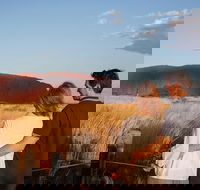 Uluru Ayers Rock Sunset with Outback Barbecue Dinner and Star Tour - Airlie Beach Holiday