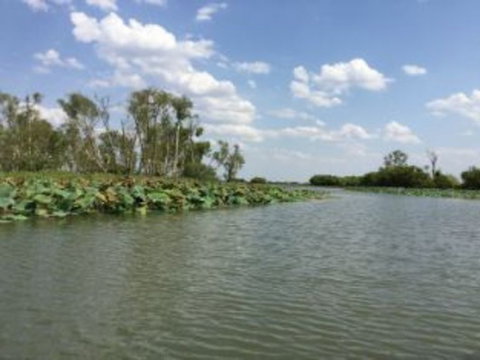 1 Day Corroboree Billabong Wetland Experience Including 2.5 Hour Cruise + Lunch - Airlie Beach Holiday 4