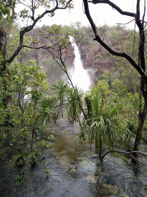 Small-Group Litchfield National Park Day Trip From Darwin - Airlie Beach Holiday 6