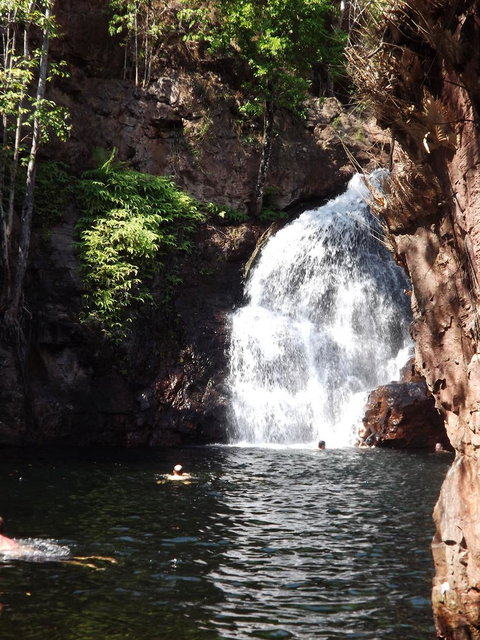 Small-Group Litchfield National Park Day Trip From Darwin - Airlie Beach Holiday 13