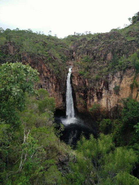 Small-Group Litchfield National Park Day Trip From Darwin - Airlie Beach Holiday 5