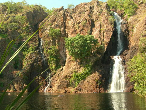 Small-Group Litchfield National Park Day Trip From Darwin - Airlie Beach Holiday 15
