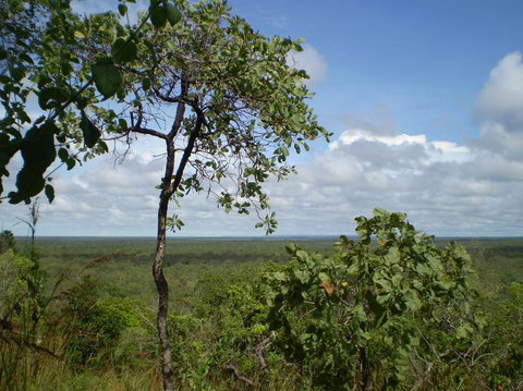 Small-Group Litchfield National Park Day Trip From Darwin - Airlie Beach Holiday 8