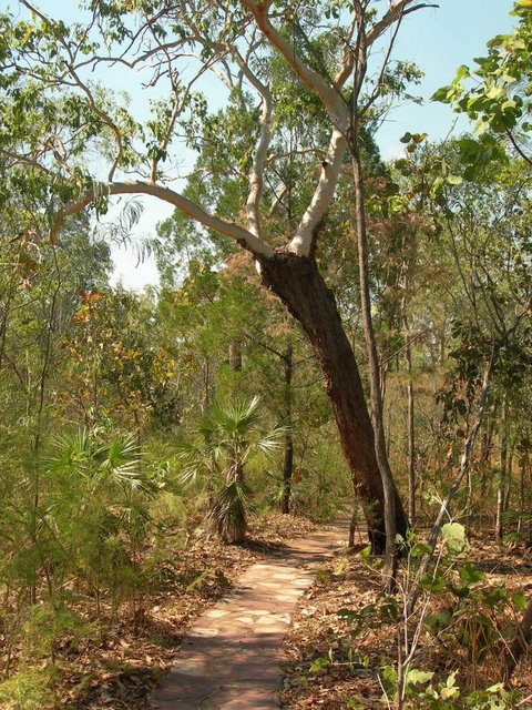 Small-Group Litchfield National Park Day Trip From Darwin - Airlie Beach Holiday 14