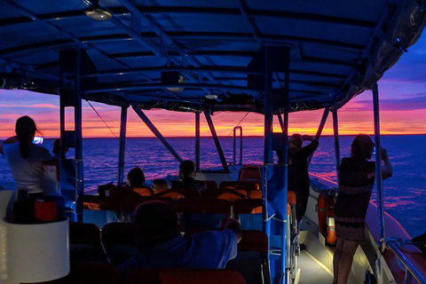 Darwin Sunset Cruise, Including Fish \'n\' Chips - Airlie Beach Holiday 9