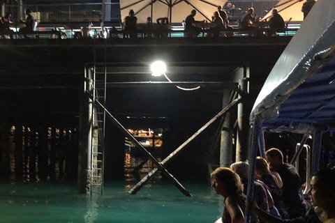 Darwin Sunset Cruise, Including Fish \'n\' Chips - Airlie Beach Holiday 8