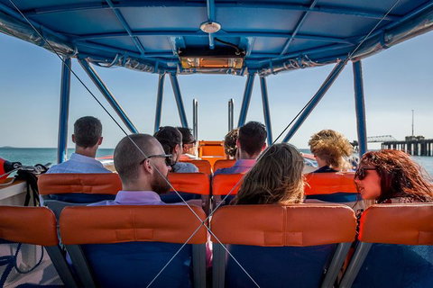 1-Hour Darwin Harbour Highlights Cruise - Airlie Beach Holiday 6