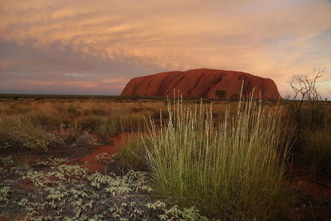Coach Transfer From Kings Canyon Resort To Ayers Rock Resort - Airlie Beach Holiday 7