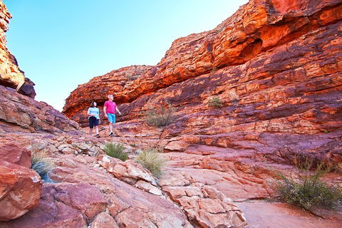Coach Transfer From Kings Canyon Resort To Ayers Rock Resort - Airlie Beach Holiday 6