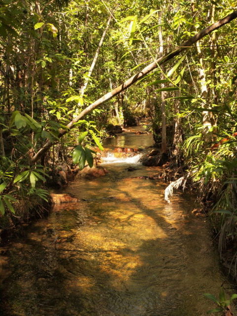 Katherine Day Tour From Darwin Including Katherine Gorge Cruise - Airlie Beach Holiday 10