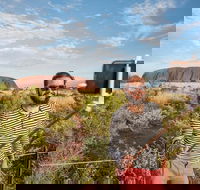 3-Day Ayers Rock and Kings Canyon Camping Tour