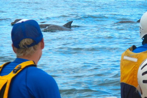 The Byron Bay Sea Kayak Tour - Airlie Beach Holiday 11