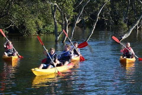 Kayak And SUP Guided Tours - Airlie Beach Holiday 0