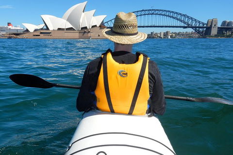 Kayak To Goat Island In Sydney Harbour With Local - Airlie Beach Holiday 6