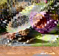 Northern Rivers Distillery Tour from Byron Bay Kingscliff or the Gold Coast - Airlie Beach Holiday