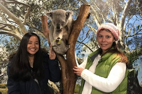 Australia Multi-City Attractions Pass - Airlie Beach Holiday 2