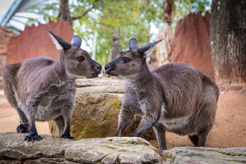 Australia Multi-City Attractions Pass - Airlie Beach Holiday 9