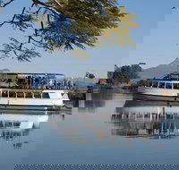 Tweed River and Rainforest Eco Cruise - Airlie Beach Holiday