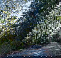 Hastings Forest Way Touring Route - Airlie Beach Holiday