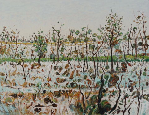 Kiama Art Gallery - Airlie Beach Holiday 1