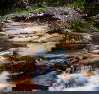 Mothar Mountain Rockpools - Airlie Beach Holiday