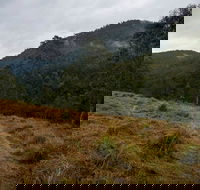 Nowendoc National Park - Airlie Beach Holiday