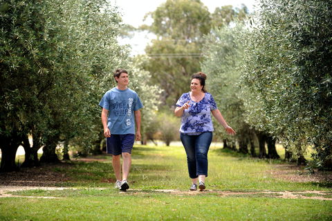Olives Of Beaulieu - Airlie Beach Holiday 0