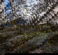 Pheasants Peak Walking Track - Airlie Beach Holiday