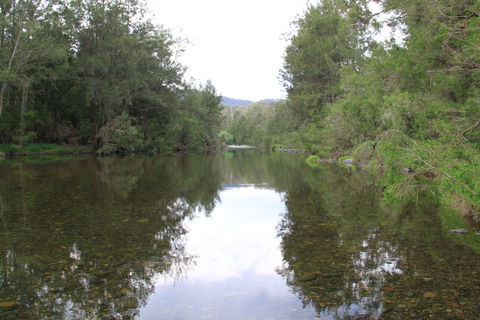 Riverside Campground And Picnic Area - Airlie Beach Holiday 0