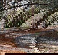 Warrego Floodplain walking track - Airlie Beach Holiday