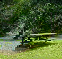 Williams River picnic area - Airlie Beach Holiday