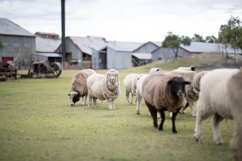 14 Day Gems Of The Outback - Airlie Beach Holiday 2