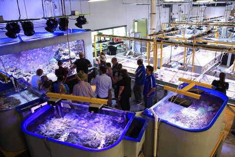 Australian Institute Of Marine Science - Airlie Beach Holiday 0