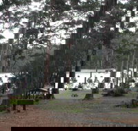 Big Brook Arboretum - Airlie Beach Holiday