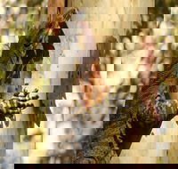 Blue Gum Hills Regional Park - Airlie Beach Holiday