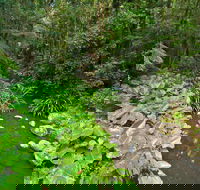 Brindle Creek Picnic Area - Airlie Beach Holiday