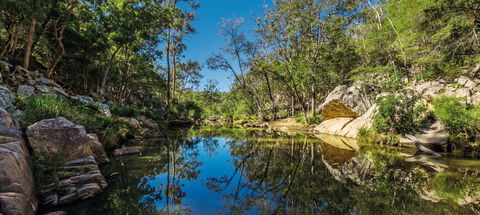 Crows Nest National Park - Airlie Beach Holiday 0