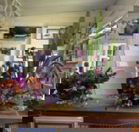 Dungog Arts Society - Airlie Beach Holiday