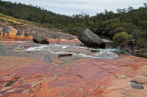 FR Berry Reserve - Airlie Beach Holiday 0