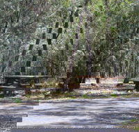 Goonoowigall State Conservation Area - Airlie Beach Holiday