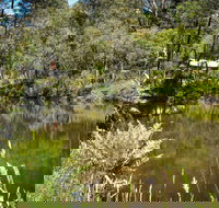 Kurth Kiln Regional Park - Airlie Beach Holiday