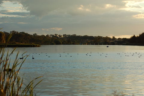 Lake Inverell Reserve - Airlie Beach Holiday 0