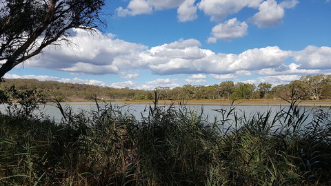 Lake Inverell Reserve - Airlie Beach Holiday 1