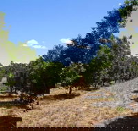 MacNuts WA Shop and Factory - Airlie Beach Holiday